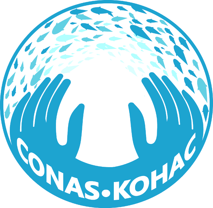 The CONAS Project